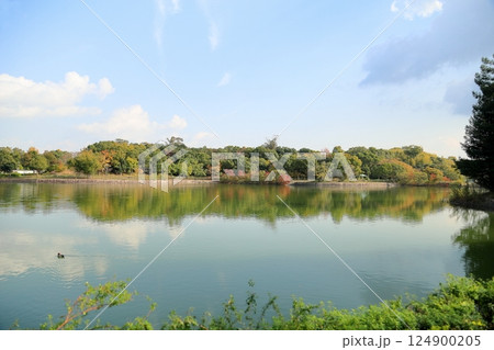 爽やか　明るい　秋の公園 124900205