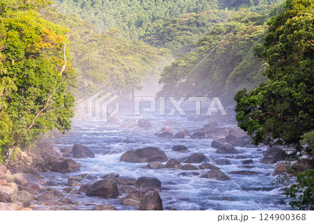 川霧　宮之浦川渓谷　洋上アルプス屋久島(夏 124900368