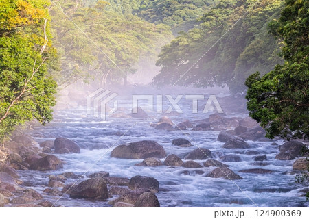 川霧 宮之浦川渓谷 洋上アルプス屋久島(夏 川霧 宮之浦川渓谷 洋上アルプス屋久島(夏 124900369