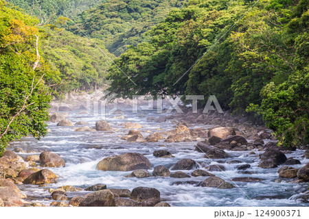 川霧 宮之浦川渓谷 洋上アルプス屋久島(夏 川霧 宮之浦川渓谷 洋上アルプス屋久島(夏 124900371