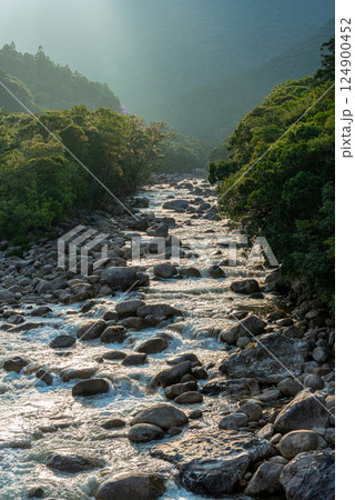 屋久島洋上アルプスの渓谷(7月)環境エコのイメージ画像 124900452
