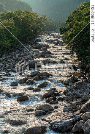夏の夕暮れ 宮之浦川渓谷 洋上アルプス屋久島 夏の夕暮れ 宮之浦川渓谷 洋上アルプス屋久島 124900453