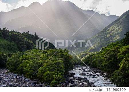 屋久島洋上アルプスの絶景(7月)環境エコのイメージ画像 124900509