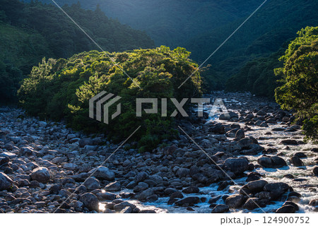夏の日差し　宮之浦川渓谷　洋上アルプス屋久島 124900752