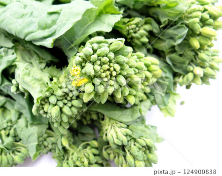 徳島県産 菜の花 徳島県産 菜の花 124900838