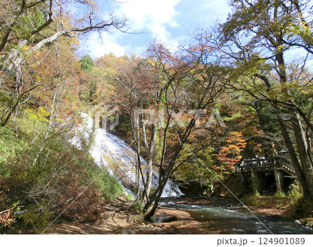 奥日光の湯滝と観瀑台（栃木県日光市） 124901089
