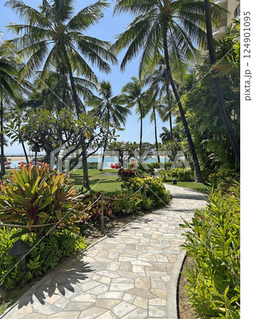 ヒルトン ハワイアンビレッジ ワイキキビーチリゾート 124901095