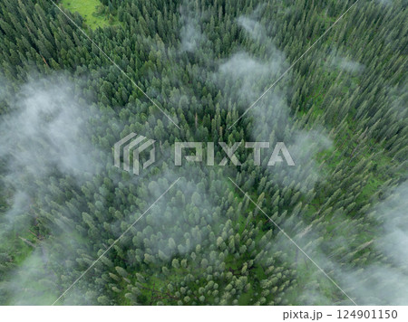 Aerial view of beautiful high altitude forest landscape Aerial view of beautiful high altitude forest landscape 124901150