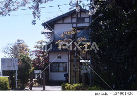 和風庭園 2025年春 124901420