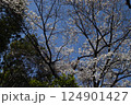 和風庭園 2025年春 124901427