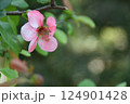 和風庭園 2025年春 124901428