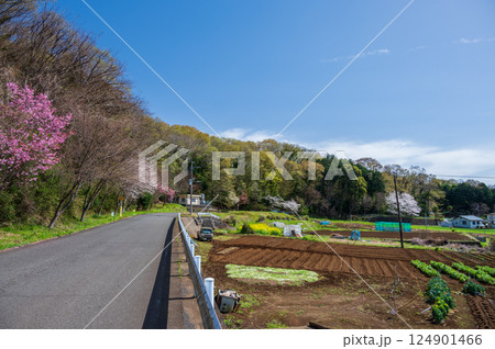 中井町の長閑な農村風景 中井町の長閑な農村風景 124901466