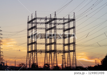 ジャングルジム型の鉄塔 124901499