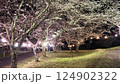 夜桜 124902322