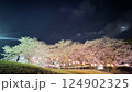 夜桜 124902325