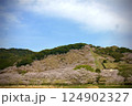桜咲く 124902327