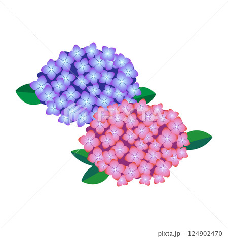 水彩風の紫陽花のイラスト 124902470