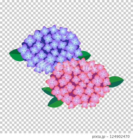 水彩風の紫陽花のイラスト 124902470