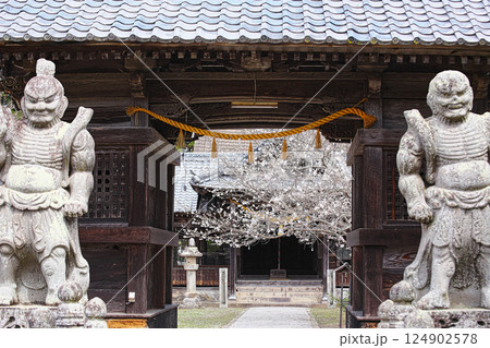 春の国東へいらっしゃい 124902578