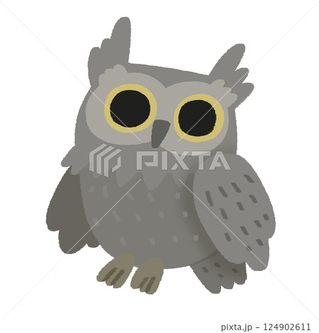 灰色のフクロウのかわいい手描きカラーイラスト 124902611
