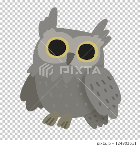 灰色のフクロウのかわいい手描きカラーイラスト 124902611