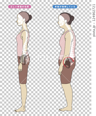 良い姿勢と悪い姿勢の横向き女性と骨格がわかりやすいイラスト 124902721
