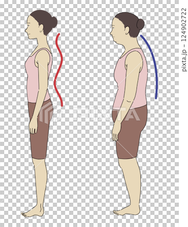 良い姿勢と悪い姿勢の横向き女性と骨格がわかりやすいイラスト 124902722
