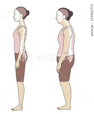 良い姿勢と悪い姿勢の横向き女性と骨格がわかりやすいイラスト 良い姿勢と悪い姿勢の横向き女性と骨格がわかりやすいイラスト 124902723