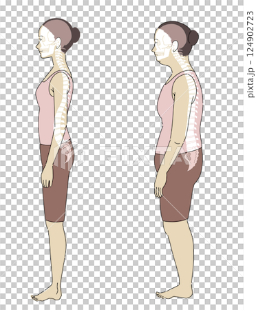良い姿勢と悪い姿勢の横向き女性と骨格がわかりやすいイラスト 良い姿勢と悪い姿勢の横向き女性と骨格がわかりやすいイラスト 124902723