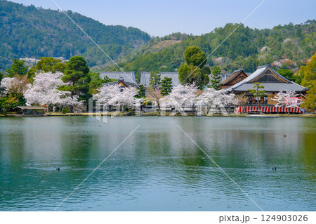 大覚寺　春の大沢池 124903026