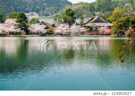 大覚寺　春の大沢池 124903027