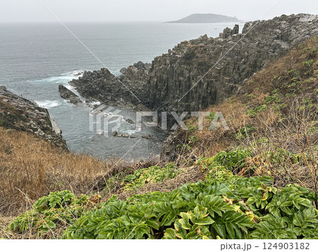 雨の東尋坊 雨の東尋坊 124903182