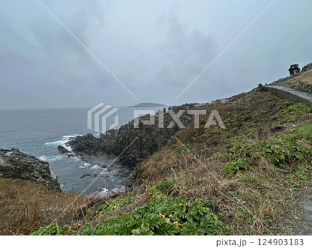雨の東尋坊 雨の東尋坊 124903183
