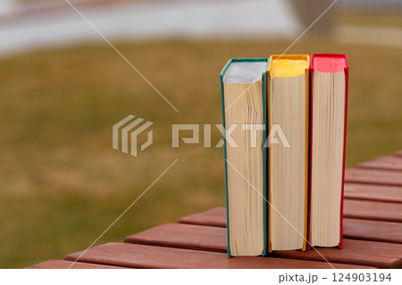 Three hardcover books standing vertically on wooden outdoor bench. 124903194