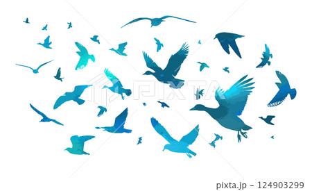 A blue flock of ducks and seagulls flying. hand drawing. Not AI. Vector illustration A blue flock of ducks and seagulls flying. hand drawing. Not AI. Vector illustration 124903299