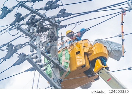 カラスの巣　電柱の上に烏の巣　撤去作業　停電原因 124903380