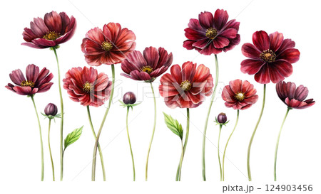 The most beautiful flower is extinct Watercolor The most beautiful flower is extinct Watercolor 124903456