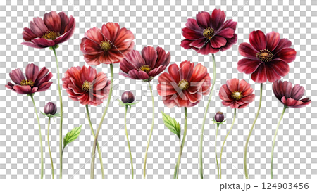 The most beautiful flower is extinct Watercolor The most beautiful flower is extinct Watercolor 124903456