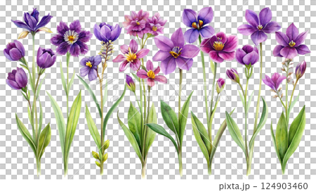 The most beautiful flower is extinct Watercolor 124903460