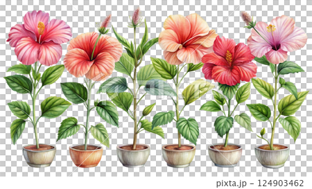 The most beautiful flower is extinct Watercolor The most beautiful flower is extinct Watercolor 124903462