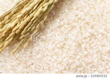 白米 白米 124903532