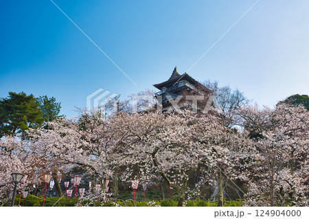 桜に包まれた春の丸岡城 124904000