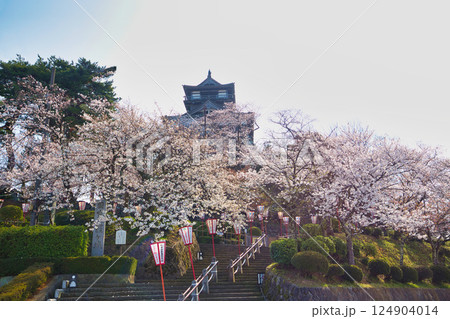 桜に包まれた春の丸岡城 桜に包まれた春の丸岡城 124904014