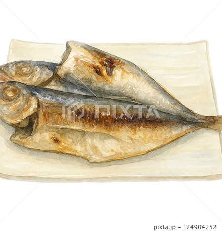 焼き魚(アジの干物)のイラスト・水彩風・和食・白背景 焼き魚(アジの干物)のイラスト・水彩風・和食・白背景 124904252