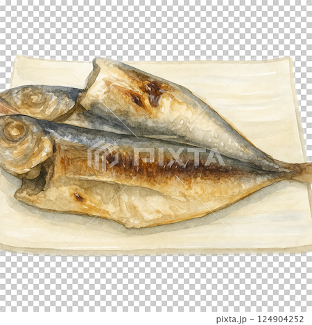 焼き魚(アジの干物)のイラスト・水彩風・和食・白背景 焼き魚(アジの干物)のイラスト・水彩風・和食・白背景 124904252