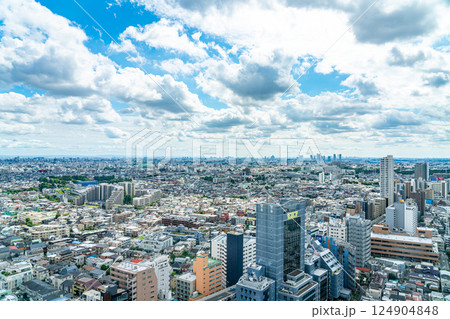 【東京都】三軒茶屋から見下ろす都市風景 124904848