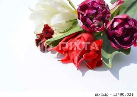 3種のチューリップの花束とテディベア　　 124905021