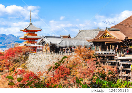 秋の京都 清水寺 秋の京都 清水寺 124905116