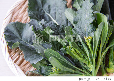 アレッタ 124905155