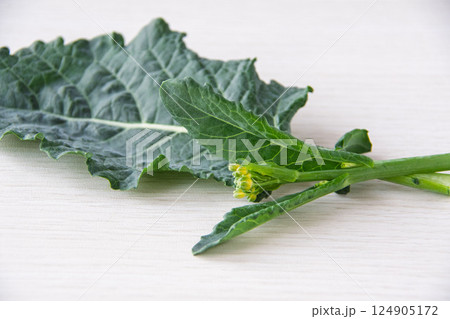 アレッタ 124905172